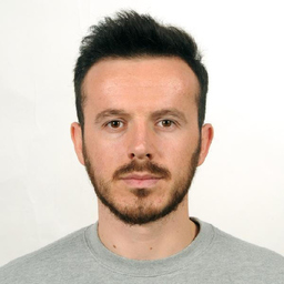 Ervin Shahini