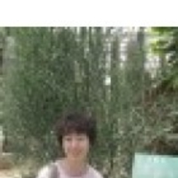 Prof. 佩泽 江