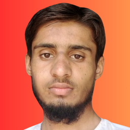 Muhammad Hamid Iqbal