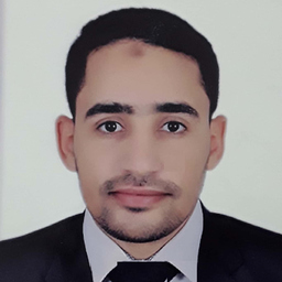 Mohamed Gamal Shafeek