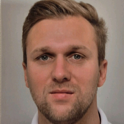 Karl Stephan