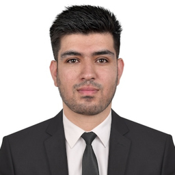 Mohammad Maisam Afshar