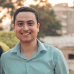 Amr Salah