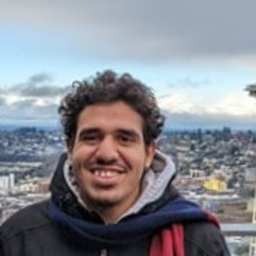 Mohamed Shaaban