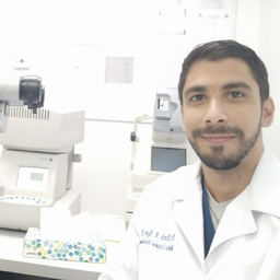 Prof. Dr. Ricardo Alfredo Rojas Machado 