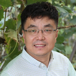 Henry Wu