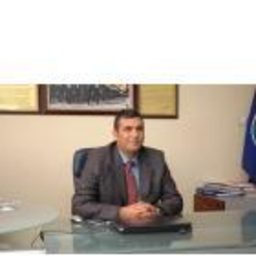 Erdal Sayi