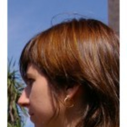 Pilar Terrón