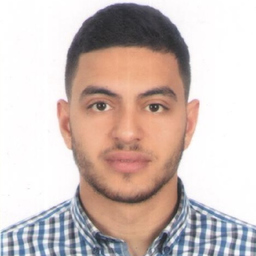 Ing. Louay Alkhouly