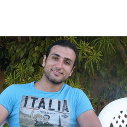 Sameh Ali