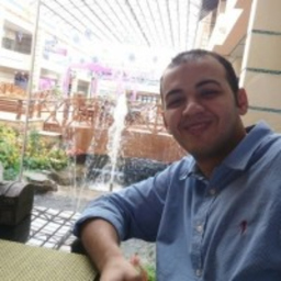 El Sayed Gamal