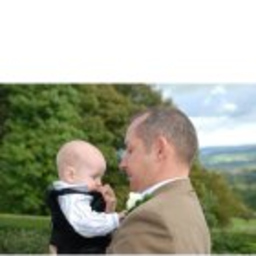 Tony Cook