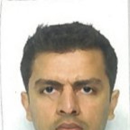 Profilbild Qasim Khalil