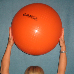Andrea Vollmer