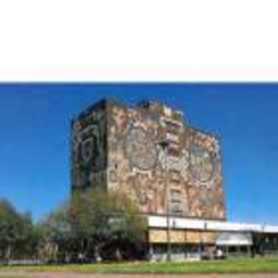 Prof. Alberto González