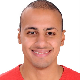 Mohamed ElHalwagy