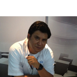 Luis David Martinez Rico