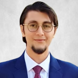 Taha Shakeel