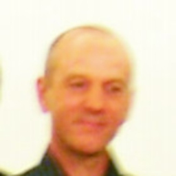 Friedel Henzler