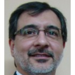 Néstor Marcelo Vizgarra