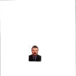 Aurel Andries