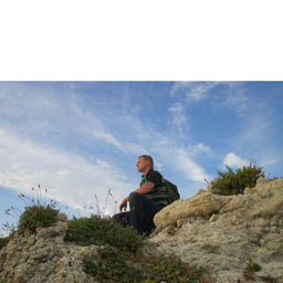 Daniel Riedl