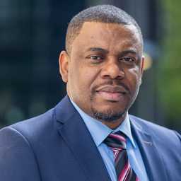 Ing. Francis Nweke
