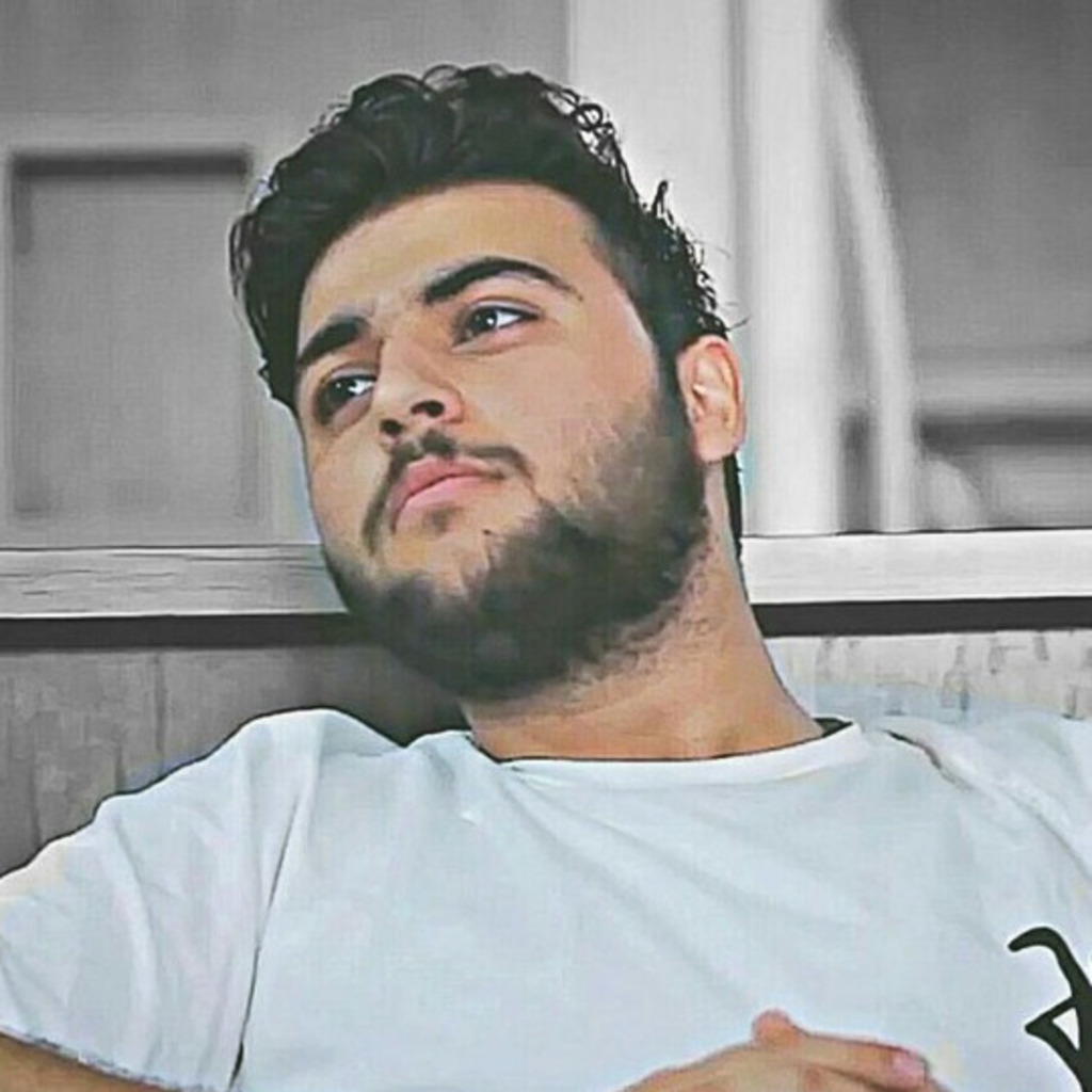 amir hamedanian Video Editor ravis advertising company XING