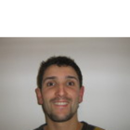 Fabio Flamini