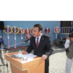 Anıl Çokgürses