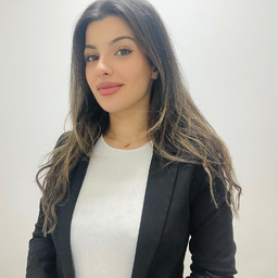 Shadi Assadi-Haghgo BA 