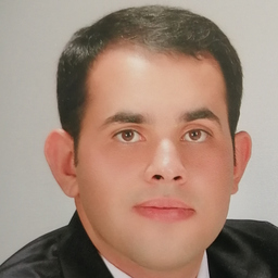 Hamidreza Satarzadeh