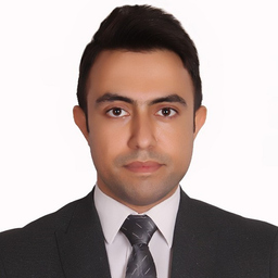 HAMED AMANI