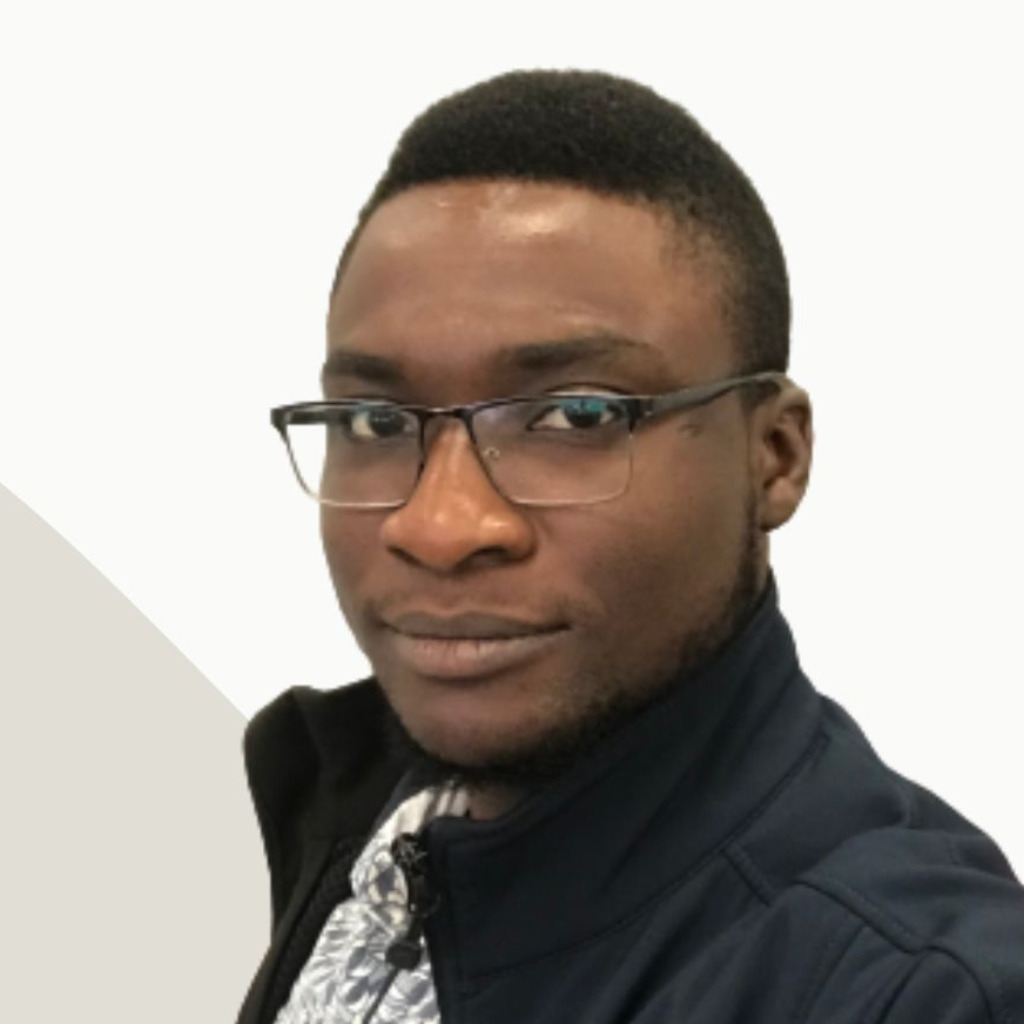 Bamidele Efunnuga Software Engineer Self Employed Freelancer XING