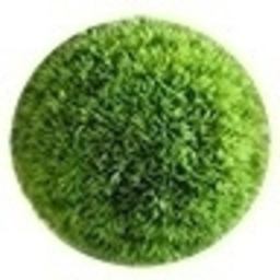 Homes Grass
