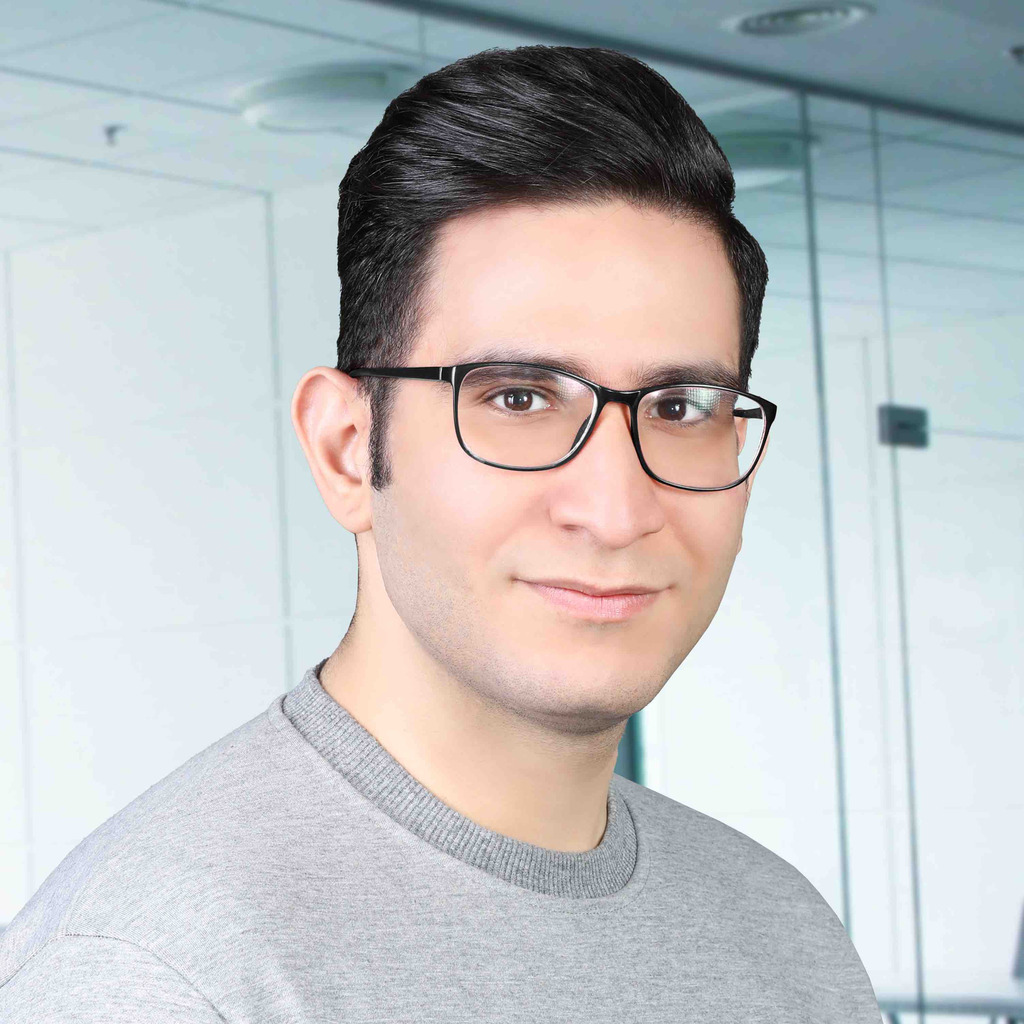 Parham Amini Ausbildung und Berufserfahrung XING