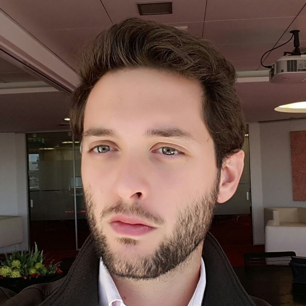 Davide Venegoni Management Consulting Analyst Accenture XING