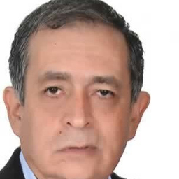 Prof. Juan Carlos Bustamante Cortes