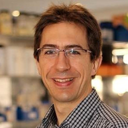 Dr. Stephane Bone