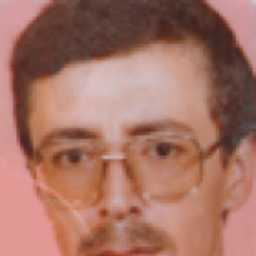 Levent Ertürk