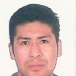 Mario David guazhima Medina