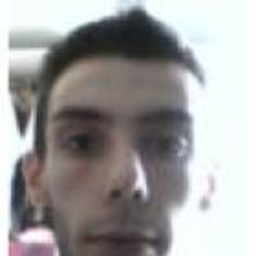 david jan piacenti
