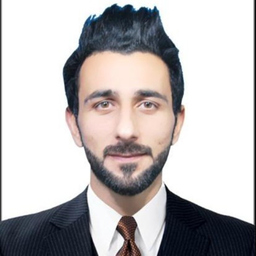 Ing. Hayat Ali