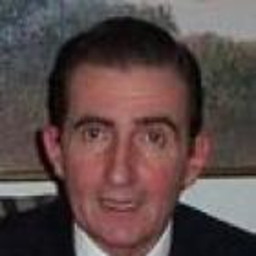Jose Luis Castañeda Bergamin