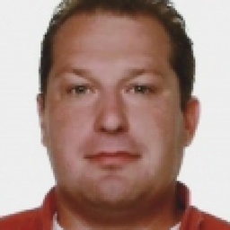 Daniel Synek