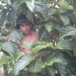 jose efren maldonado