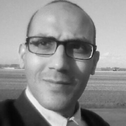 Ahmed Salah Lashin