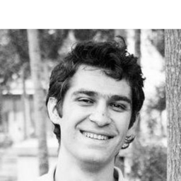 Khosrow Afoozeh's profile picture