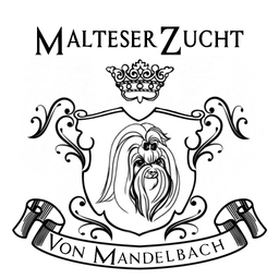 Yvonne-Elisa Dondorf