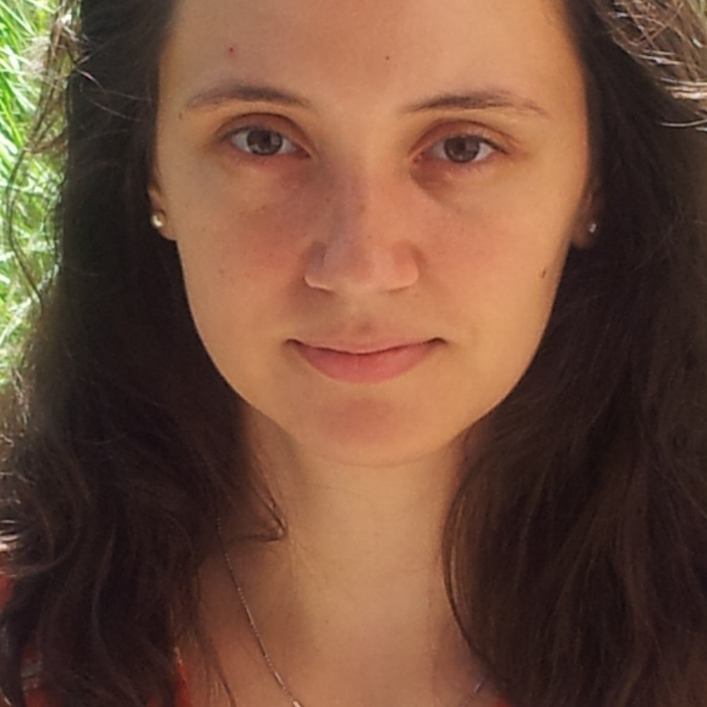 Andreea Ilie Financial Analyst Continental Automotive XING